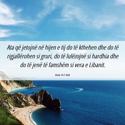 Picture 06 - Osea 14:7 ALB - Ata që jetojnë në hijen e tij do të kthehen - Bible Verse Picture