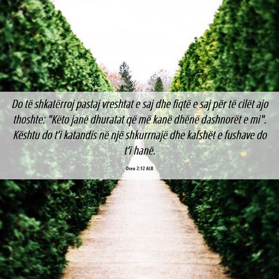 Picture 06 - Osea 2:12 ALB - Do të shkatërroj pastaj vreshtat e saj dhe - Bible Verse Picture