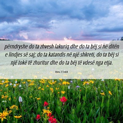 Picture 06 - Osea 2:3 ALB - përndryshe do ta zhvesh lakuriq dhe do ta bëj - Bible Verse Picture