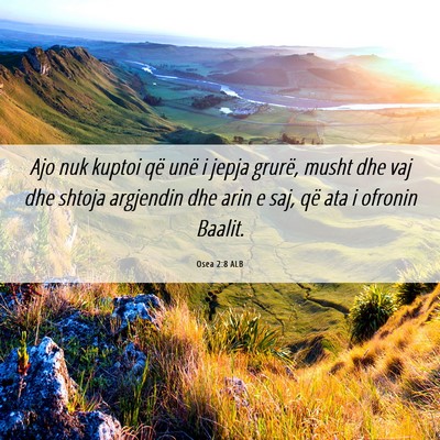 Picture 06 - Osea 2:8 ALB - Ajo nuk kuptoi që unë i jepja grurë, musht dhe - Bible Verse Picture