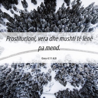 Picture 06 - Osea 4:11 ALB - Prostitucioni, vera dhe mushti të lënë pa - Bible Verse Picture