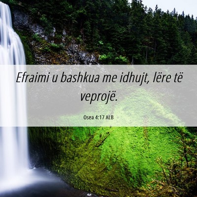 Picture 06 - Osea 4:17 ALB - Efraimi u bashkua me idhujt, lëre të - Bible Verse Picture