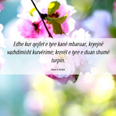 Picture 06 - Osea 4:18 ALB - Edhe kur qejfet e tyre kanë mbaruar, kryejnë - Bible Verse Picture
