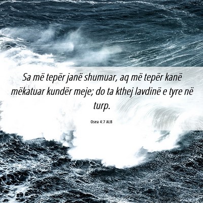 Picture 06 - Osea 4:7 ALB - Sa më tepër janë shumuar, aq më tepër kanë - Bible Verse Picture