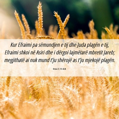Picture 06 - Osea 5:13 ALB - Kur Efraimi pa sëmundjen e tij dhe Juda plagën - Bible Verse Picture