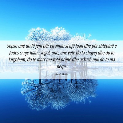 Picture 06 - Osea 5:14 ALB - Sepse unë do të jem për Efraimin si një luan - Bible Verse Picture
