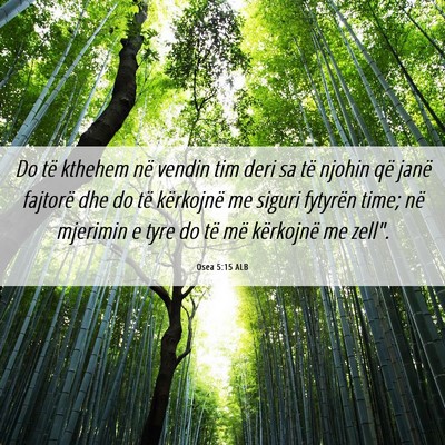 Picture 06 - Osea 5:15 ALB - Do të kthehem në vendin tim deri sa të njohin - Bible Verse Picture