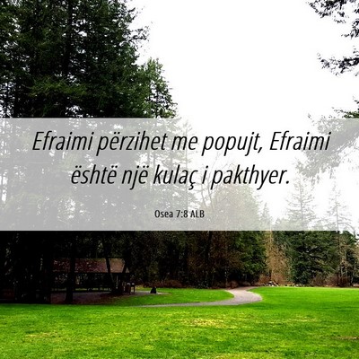 Picture 06 - Osea 7:8 ALB - Efraimi përzihet me popujt, Efraimi është një - Bible Verse Picture