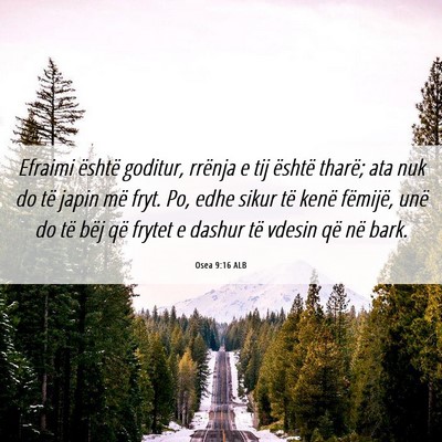 Picture 06 - Osea 9:16 ALB - Efraimi është goditur, rrënja e tij është - Bible Verse Picture