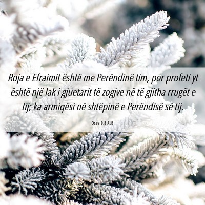 Picture 06 - Osea 9:8 ALB - Roja e Efraimit është me Perëndinë tim, por - Bible Verse Picture