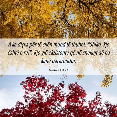 Picture 06 - Predikuesi 1:10 ALB - A ka diçka për të cilën mund të thuhet: - Bible Verse Picture