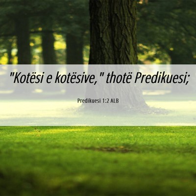 Picture 06 - Predikuesi 1:2 ALB - 