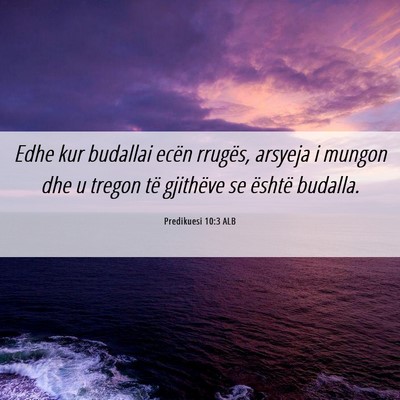 Picture 06 - Predikuesi 10:3 ALB - Edhe kur budallai ecën rrugës, arsyeja i mungon - Bible Verse Picture