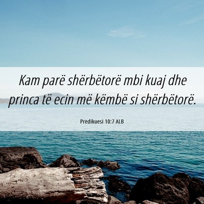 Picture 06 - Predikuesi 10:7 ALB - Kam parë shërbëtorë mbi kuaj dhe princa të - Bible Verse Picture