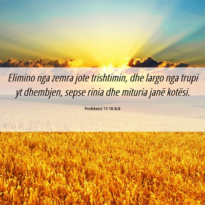 Picture 06 - Predikuesi 11:10 ALB - Elimino nga zemra jote trishtimin, dhe largo nga - Bible Verse Picture
