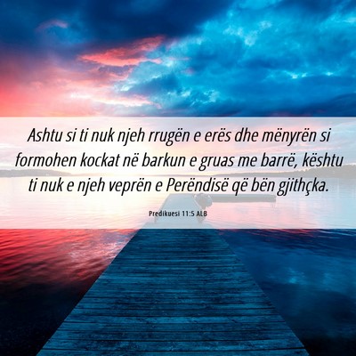Picture 06 - Predikuesi 11:5 ALB - Ashtu si ti nuk njeh rrugën e erës dhe - Bible Verse Picture