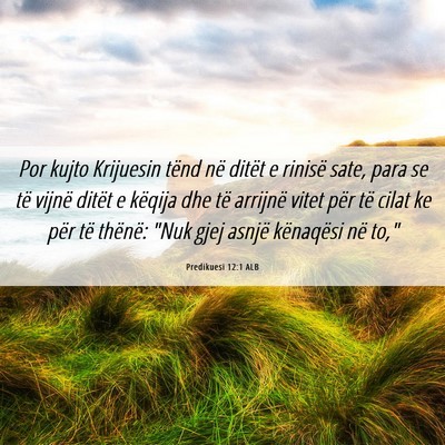 Picture 06 - Predikuesi 12:1 ALB - Por kujto Krijuesin tënd në ditët e rinisë - Bible Verse Picture