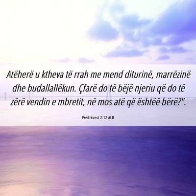 Picture 06 - Predikuesi 2:12 ALB - Atëherë u ktheva të rrah me mend diturinë, - Bible Verse Picture