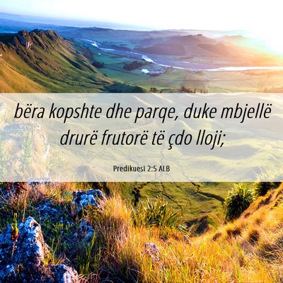 Picture 06 - Predikuesi 2:5 ALB - bëra kopshte dhe parqe, duke mbjellë drurë - Bible Verse Picture
