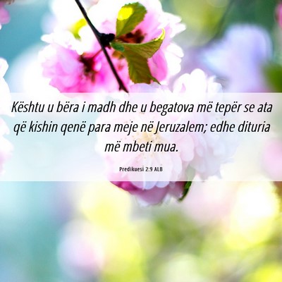 Picture 06 - Predikuesi 2:9 ALB - Kështu u bëra i madh dhe u begatova më tepër - Bible Verse Picture