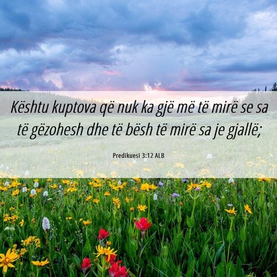 Picture 06 - Predikuesi 3:12 ALB - Kështu kuptova që nuk ka gjë më të mirë se - Bible Verse Picture