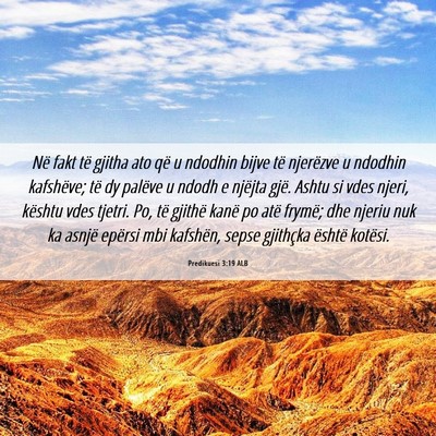 Picture 06 - Predikuesi 3:19 ALB - Në fakt të gjitha ato që u ndodhin bijve të - Bible Verse Picture