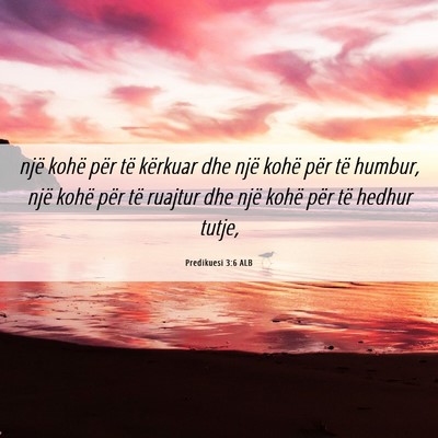 Picture 06 - Predikuesi 3:6 ALB - një kohë për të kërkuar dhe një kohë për - Bible Verse Picture