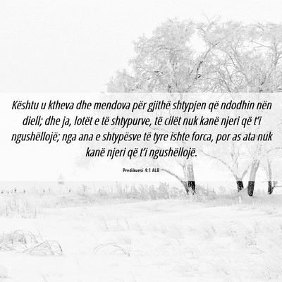 Picture 06 - Predikuesi 4:1 ALB - Kështu u ktheva dhe mendova për gjithë - Bible Verse Picture