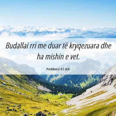 Picture 06 - Predikuesi 4:5 ALB - Budallai rri me duar të kryqezuara dhe ha mishin - Bible Verse Picture