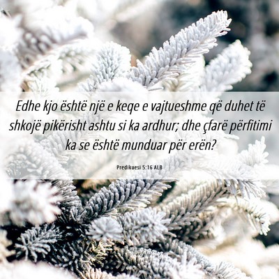 Picture 06 - Predikuesi 5:16 ALB - Edhe kjo është një e keqe e vajtueshme që - Bible Verse Picture