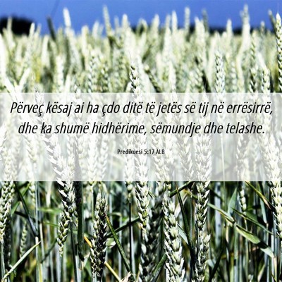 Picture 06 - Predikuesi 5:17 ALB - Përveç kësaj ai ha çdo ditë të jetës së - Bible Verse Picture