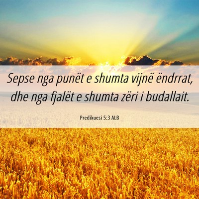 Picture 06 - Predikuesi 5:3 ALB - Sepse nga punët e shumta vijnë ëndrrat, dhe - Bible Verse Picture