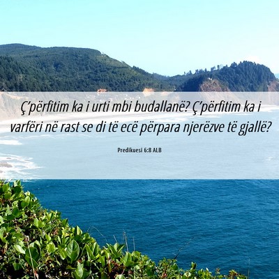Picture 06 - Predikuesi 6:8 ALB - Ç’përfitim ka i urti mbi budallanë? - Bible Verse Picture