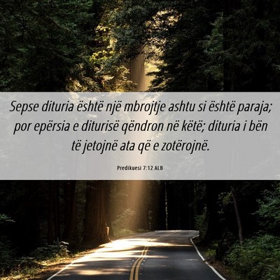 Picture 06 - Predikuesi 7:12 ALB - Sepse dituria është një mbrojtje ashtu si - Bible Verse Picture