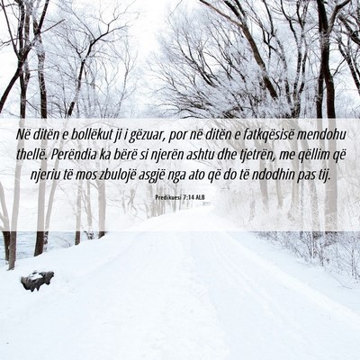 Picture 06 - Predikuesi 7:14 ALB - Në ditën e bollëkut ji i gëzuar, por në - Bible Verse Picture