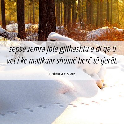 Picture 06 - Predikuesi 7:22 ALB - sepse zemra jote gjithashtu e di që ti vet i ke - Bible Verse Picture