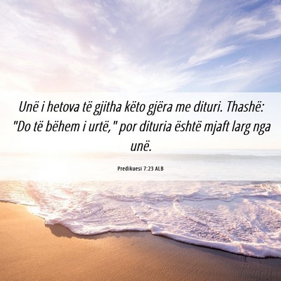 Picture 06 - Predikuesi 7:23 ALB - Unë i hetova të gjitha këto gjëra me dituri. - Bible Verse Picture