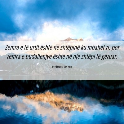 Picture 06 - Predikuesi 7:4 ALB - Zemra e të urtit është në shtëpinë ku - Bible Verse Picture