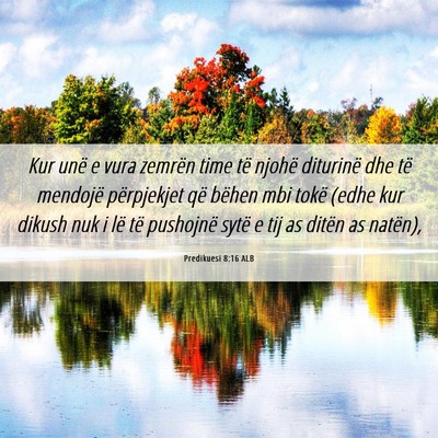 Picture 06 - Predikuesi 8:16 ALB - Kur unë e vura zemrën time të njohë diturinë - Bible Verse Picture