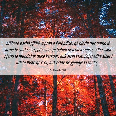 Picture 06 - Predikuesi 8:17 ALB - atëherë pashë gjithë veprën e Perëndisë, - Bible Verse Picture