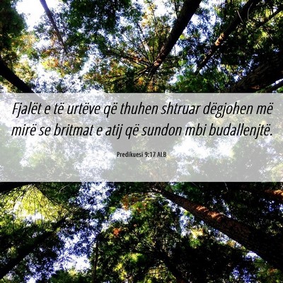 Picture 06 - Predikuesi 9:17 ALB - Fjalët e të urtëve që thuhen shtruar - Bible Verse Picture