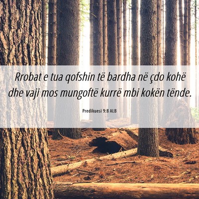 Picture 06 - Predikuesi 9:8 ALB - Rrobat e tua qofshin të bardha në çdo kohë - Bible Verse Picture