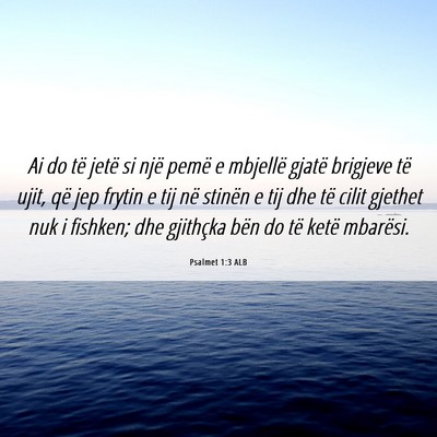 Picture 06 - Psalmet 1:3 ALB - Ai do të jetë si një pemë e mbjellë gjatë - Bible Verse Picture