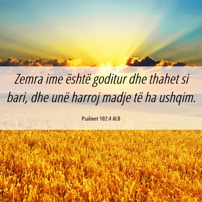 Picture 06 - Psalmet 102:4 ALB - Zemra ime është goditur dhe thahet si bari, dhe - Bible Verse Picture