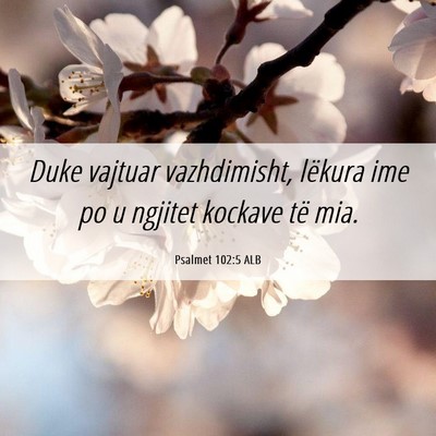 Picture 06 - Psalmet 102:5 ALB - Duke vajtuar vazhdimisht, lëkura ime po u - Bible Verse Picture