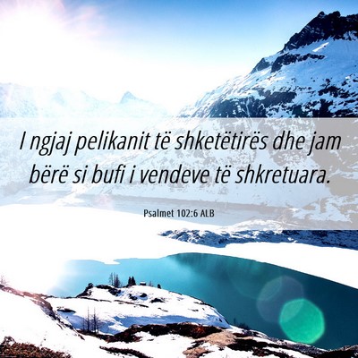 Picture 06 - Psalmet 102:6 ALB - I ngjaj pelikanit të shketëtirës dhe jam - Bible Verse Picture