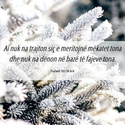 Picture 06 - Psalmet 103:10 ALB - Ai nuk na trajton siç e meritojnë mëkatet tona - Bible Verse Picture