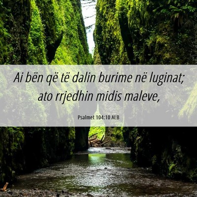 Picture 06 - Psalmet 104:10 ALB - Ai bën që të dalin burime në luginat; ato - Bible Verse Picture