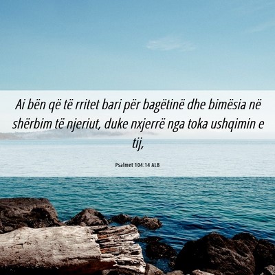 Picture 06 - Psalmet 104:14 ALB - Ai bën që të rritet bari për bagëtinë dhe - Bible Verse Picture