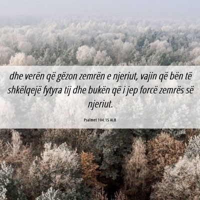 Picture 06 - Psalmet 104:15 ALB - dhe verën që gëzon zemrën e njeriut, vajin - Bible Verse Picture